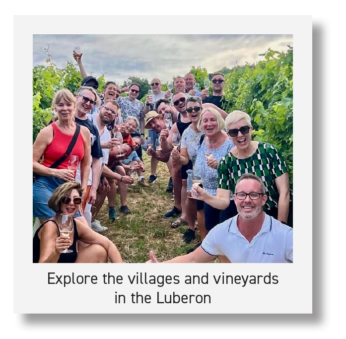 Explore the villages and vineyards  in the Luberon